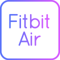 Google Fitbit Air Google Fitbit Air