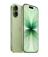Смартфон Apple iPhone 17 256GB Sage eSIM