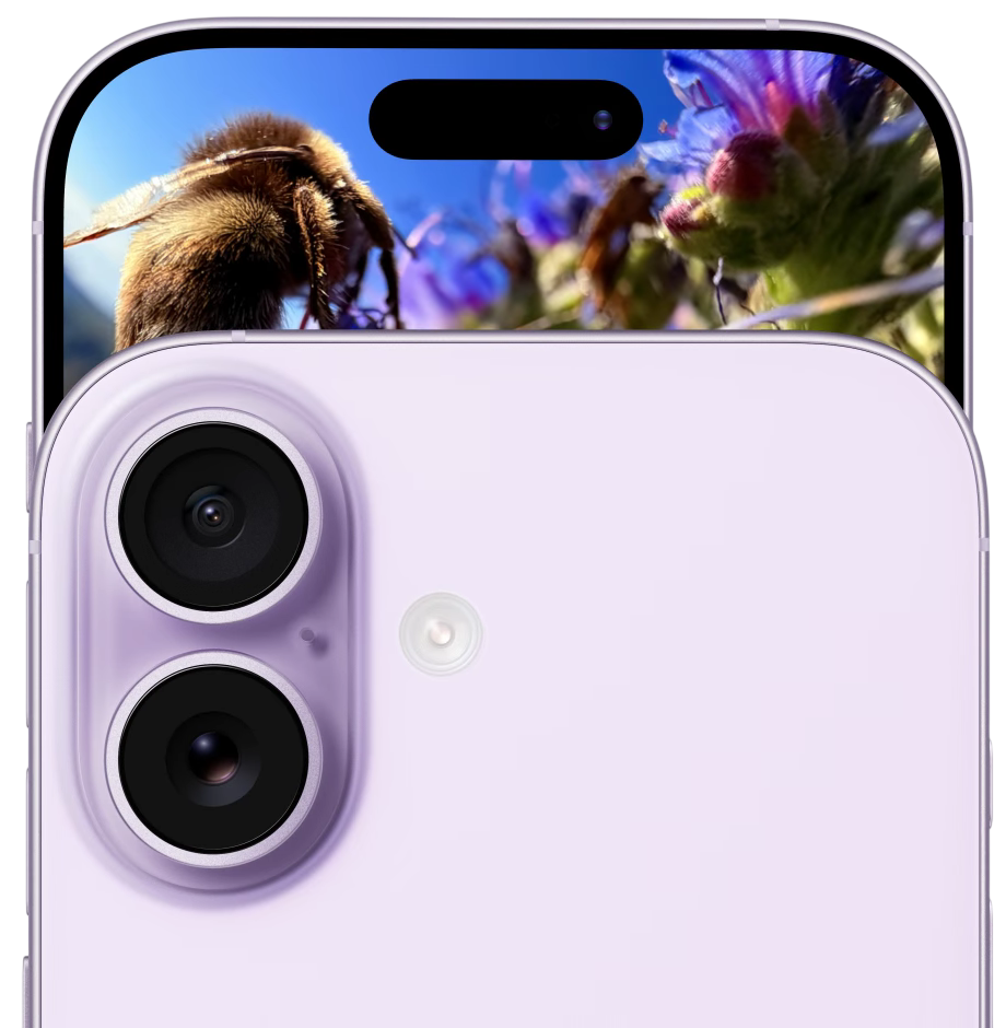 videoframe_490-Photoroom.png videoframe_490-Photoroom.png